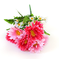 искусственные цветы герберы с добавкой ромашки цвета красный с розовым 42