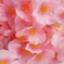 искусственные цветы глициния цвета светло-розовый 9