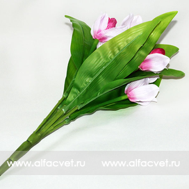 искусственные цветы орхидеи цвета малиновый с белым 37