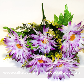 искусственные цветы герберы цвета фиолетовый с белым 15