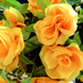 искусственные цветы букет роз цвета желтый 1