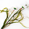искусственные цветы ветка ромашек с осокой цвета белый 6